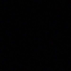 Meet your Posher, Donisha